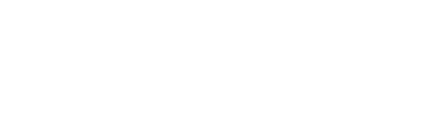 Velixo